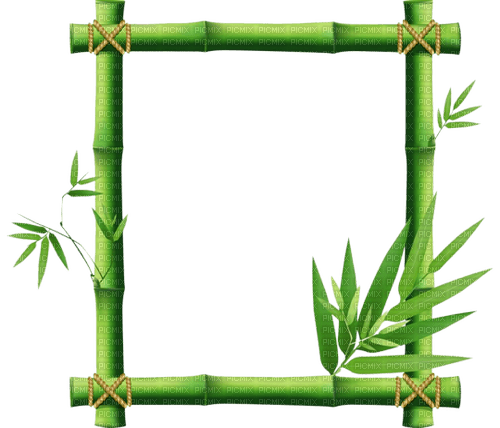 bamboo frame - gratis png