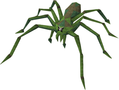 spider - zadarmo png