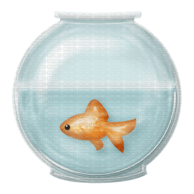 fish bowl bp - PNG gratuit