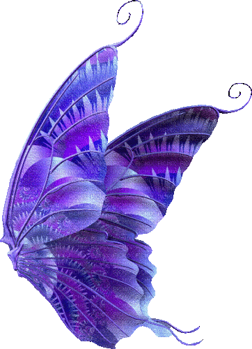 papillon - GIF animasi gratis