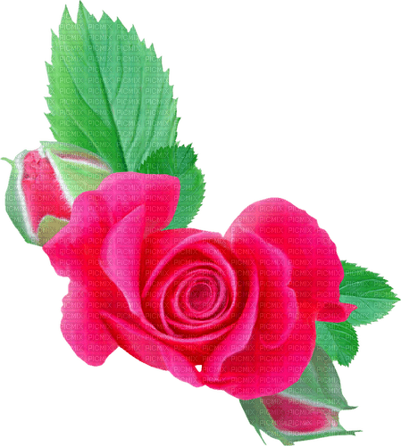 Roses.Pink - Free PNG
