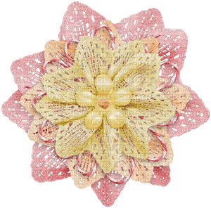 Flower Blume Lace pink yellow ribbon - png ฟรี