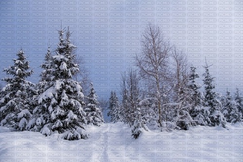 paysage de neige - бесплатно png