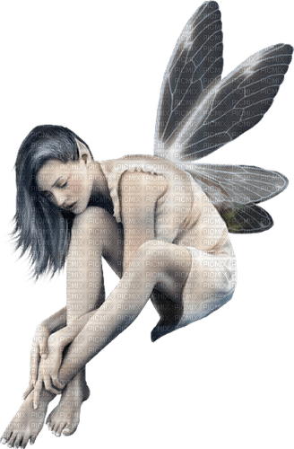 fairy gothic fantasy dolceluna - PNG gratuit
