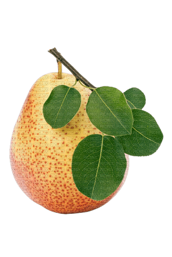 autumn deco kikkapink png pear fruit - png ฟรี