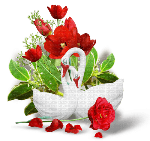blommor- svanar--flowers--swans-red..röd - ingyenes png