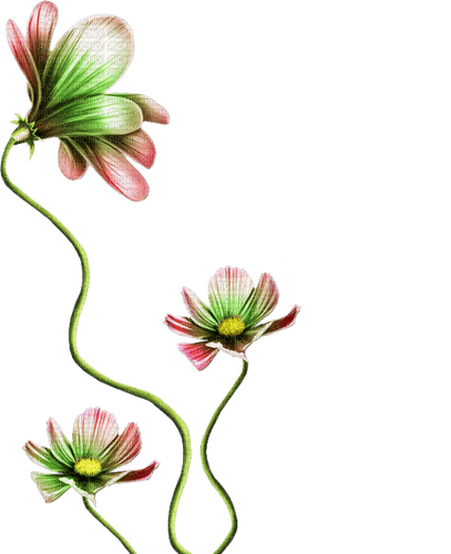 Flores de fantasía - PNG gratuit