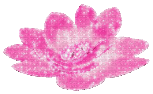 Animated.Flower.Pearls.Pink - By KittyKatLuv65 - GIF เคลื่อนไหวฟรี