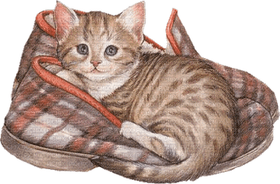 Kaz_Creations Cats Cat Kittens Kitten - 免费PNG
