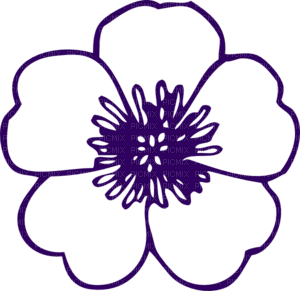 purple flower - darmowe png