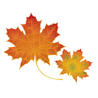 leaves laub feuilles - PNG gratuit
