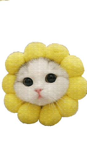 Cat, Katze, Sonnenblumenkatze - Безплатен анимиран GIF