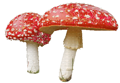 another mushroom - Бесплатный анимированный гифка