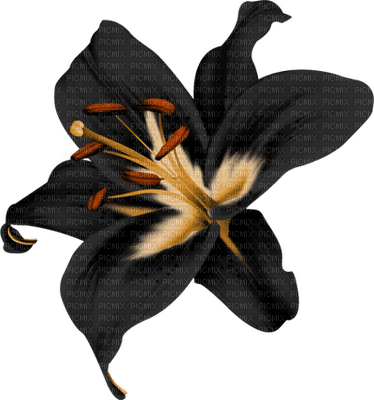 Kaz_Creations Deco Flowers Flower  Colours - gratis png