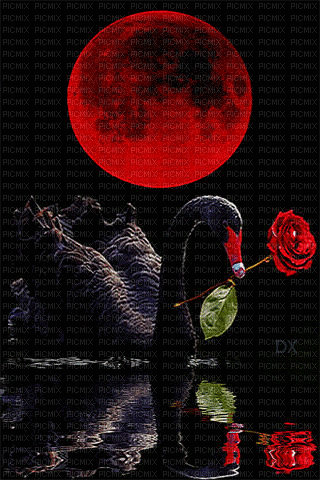 black swan - Besplatni animirani GIF