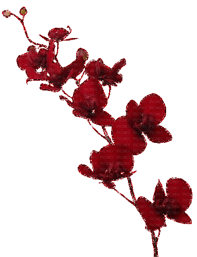 Red.Flower.Fleur.Deco.Victoriabea - Безплатен анимиран GIF