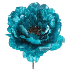 fleur bleue - nemokama png