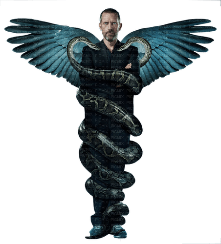 Doctor House-CADUCE - zdarma png