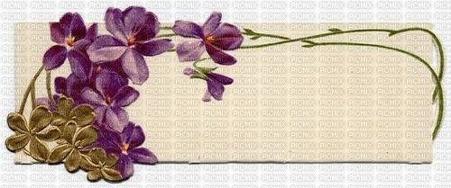 flores violetas  banner dubravka4 - png ฟรี