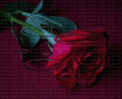 roos - Gratis geanimeerde GIF