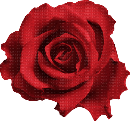 kikkapink deco scrap red rose - безплатен png