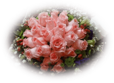patymirabelle fleurs rose - png gratuito
