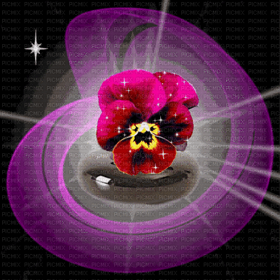 fleur - Darmowy animowany GIF