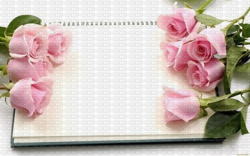 bg-background-blommor--flowers--pink-rosa-- - png ฟรี