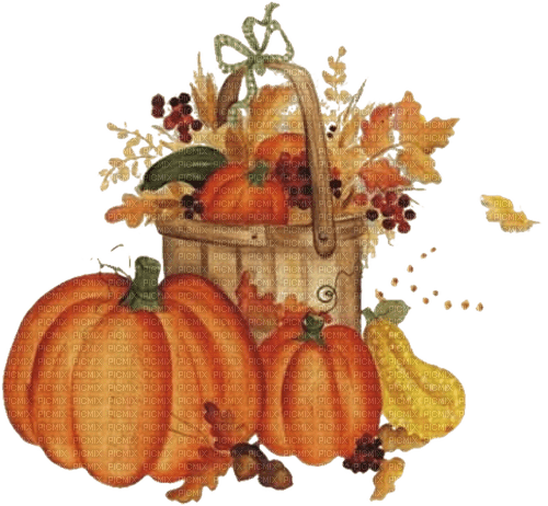 Herbst, Ernte, Kürbisse - фрее пнг