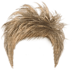cabelos,peruca-l - PNG gratuit