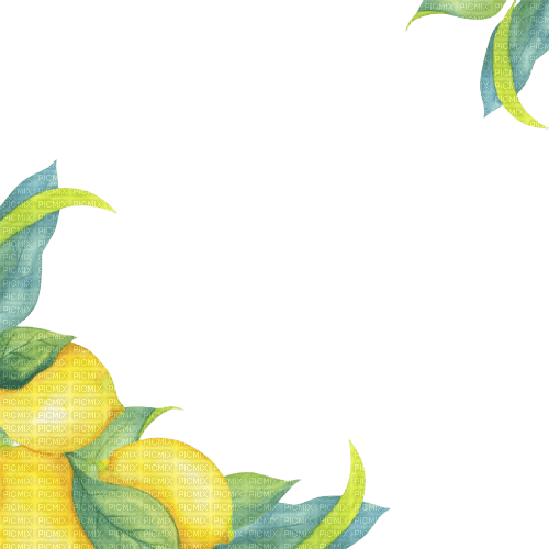 kikkapink lemon fruit deco png border - Free PNG