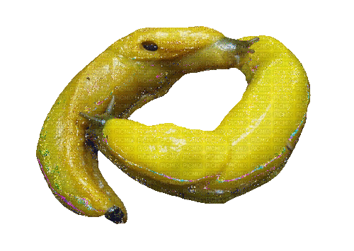 banana slug collaboration - Zdarma animovaný GIF
