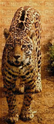 jaguar - bezmaksas png