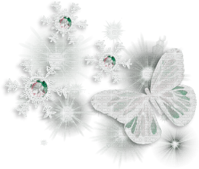 Y.A.M._Winter Butterfly decor - Free PNG