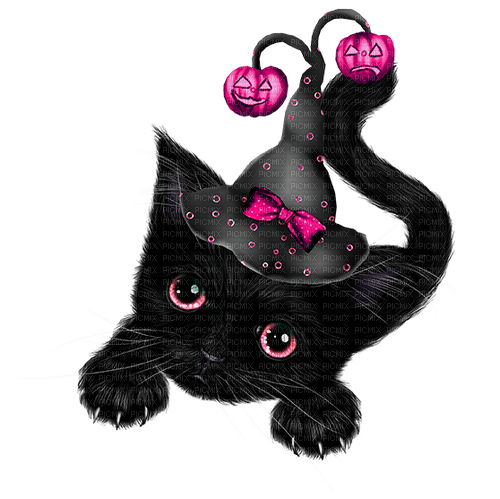 Cat.Witch.Black.Pink - PNG gratuit