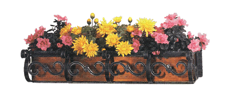 Autumn Fall Flowers - Darmowy animowany GIF