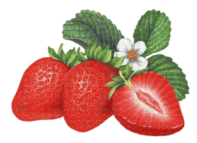 strawberry  by nataliplus - nemokama png