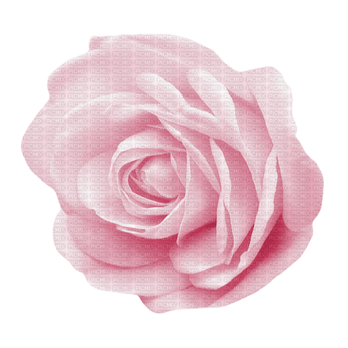 kikkapink pink rose deco scrap spring summer - 無料png