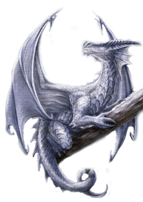 winter dragon by nataliplus - ilmainen png