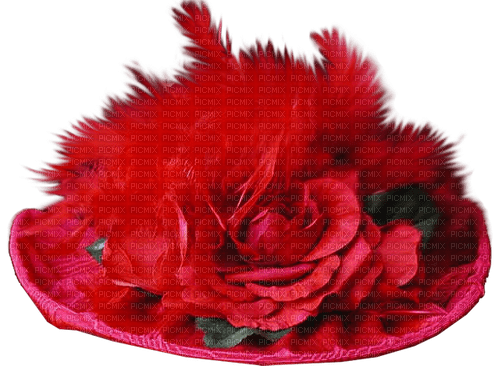 red hat - PNG gratuit