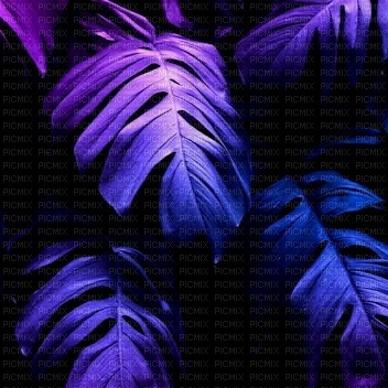 Purple Blue Leaf Background - png ฟรี