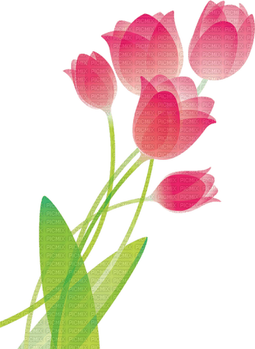 red tulips Bb2 - бесплатно png