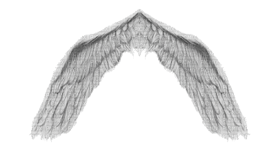 wing - Bezmaksas animēts GIF