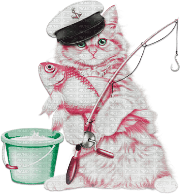 soave deco summer cat fish animals funny pink - ilmainen png