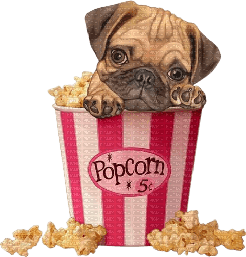 puppy/popcorn - Free PNG