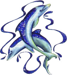 dauphins scintillants - GIF animado grátis