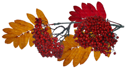 autumn leaves bp - 免费PNG