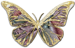 dulcineia8 borboletas - GIF animado grátis
