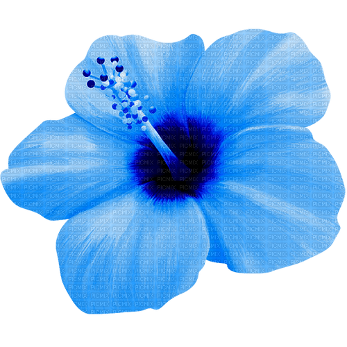 Flower.Blue - PNG gratuit