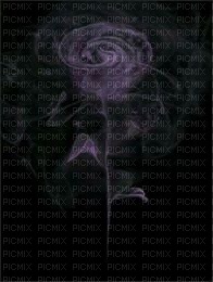 paarse roos - безплатен png